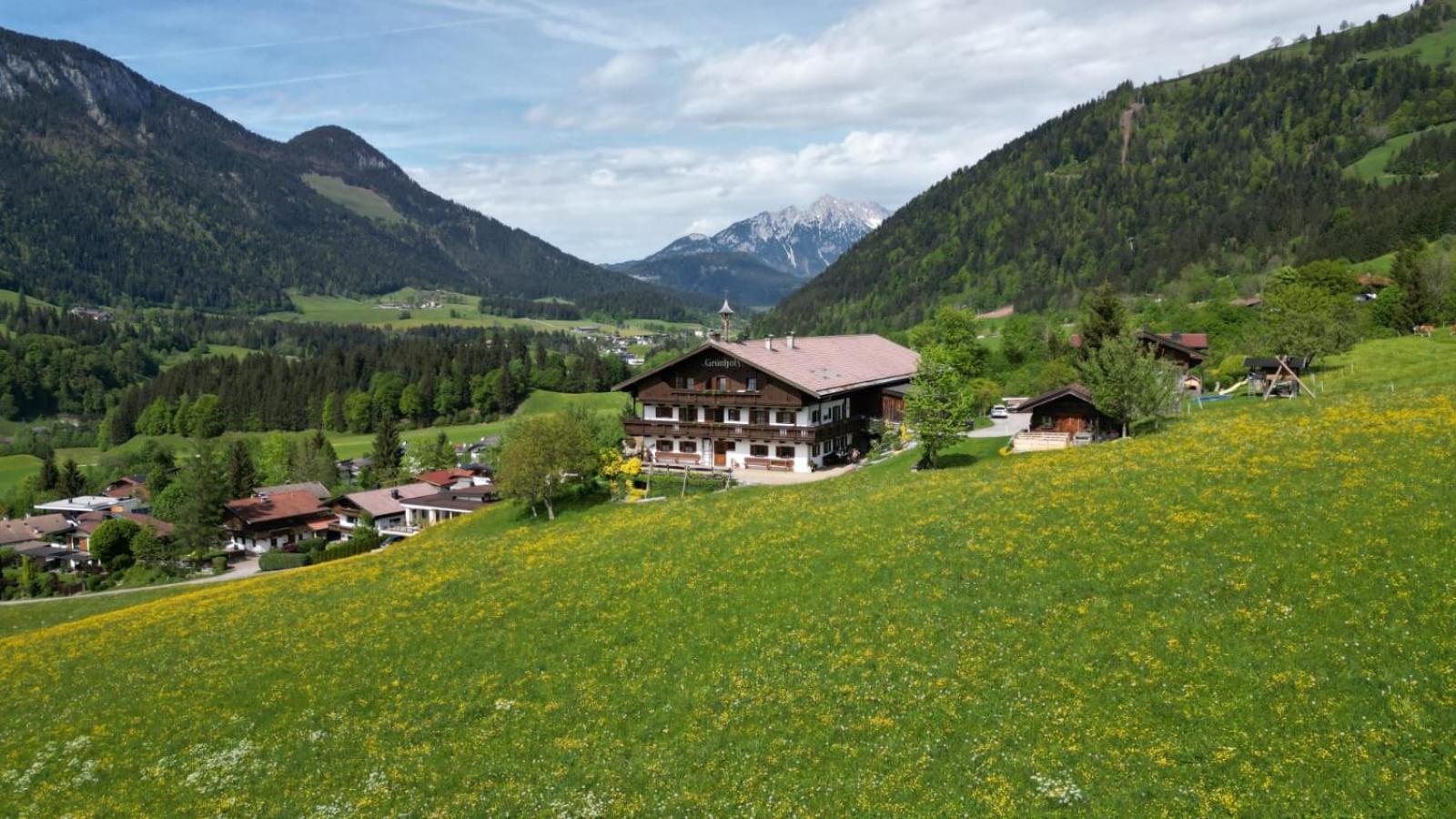Gruenholz
