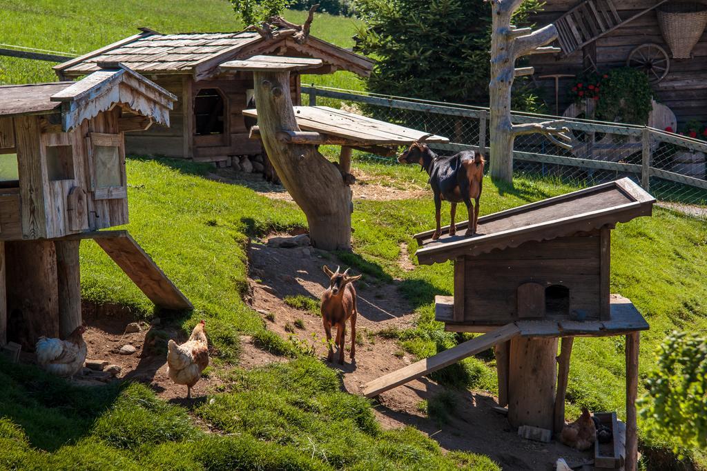 Gruenholz * Itter