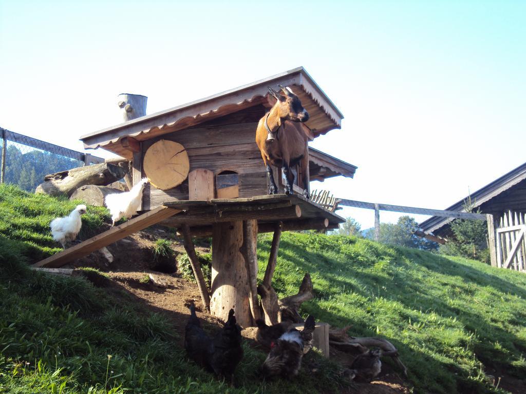 Farm stay Grunholz Itter